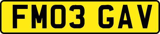 FM03GAV