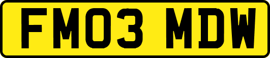 FM03MDW