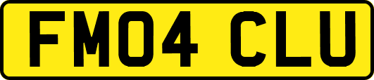 FM04CLU