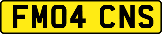 FM04CNS