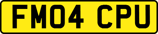 FM04CPU