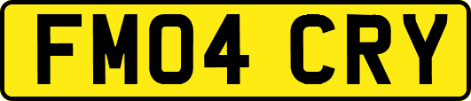 FM04CRY