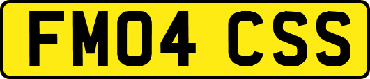 FM04CSS