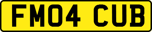 FM04CUB