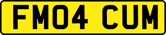 FM04CUM
