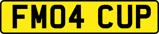 FM04CUP