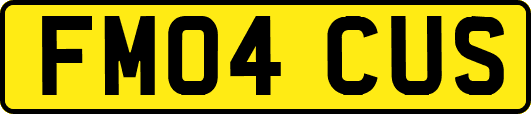 FM04CUS