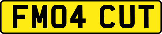 FM04CUT