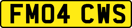 FM04CWS