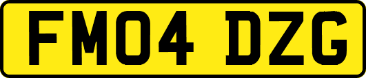 FM04DZG