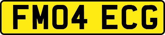 FM04ECG