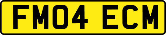 FM04ECM