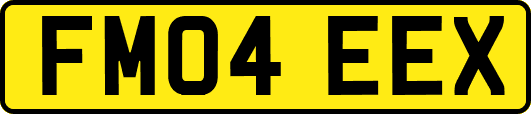 FM04EEX