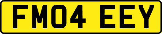 FM04EEY