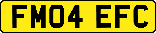 FM04EFC