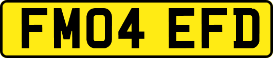 FM04EFD