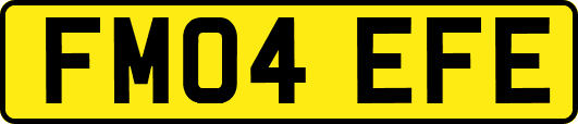 FM04EFE