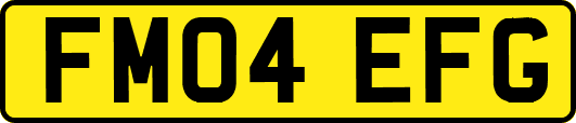 FM04EFG