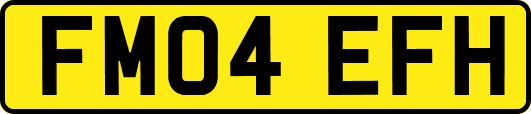 FM04EFH