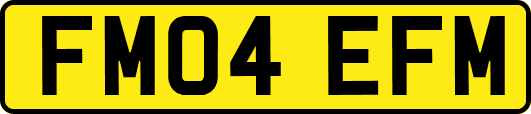 FM04EFM