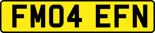 FM04EFN