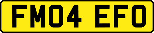 FM04EFO