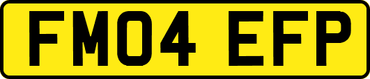 FM04EFP
