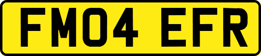 FM04EFR