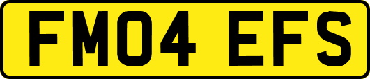 FM04EFS