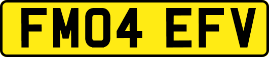 FM04EFV