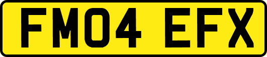 FM04EFX