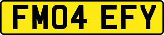FM04EFY