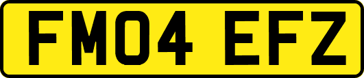 FM04EFZ