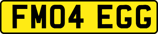 FM04EGG