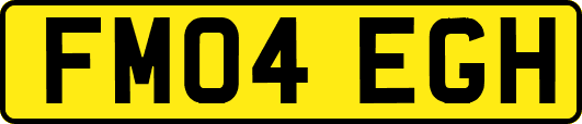 FM04EGH