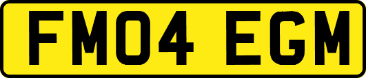 FM04EGM