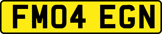 FM04EGN