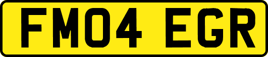 FM04EGR