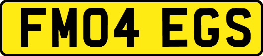 FM04EGS
