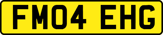 FM04EHG