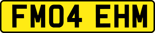 FM04EHM