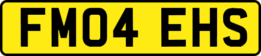 FM04EHS