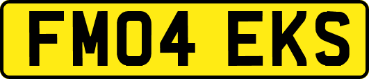 FM04EKS