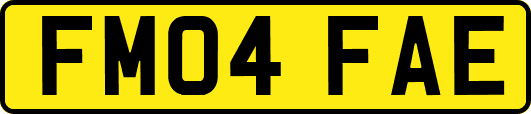 FM04FAE
