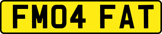 FM04FAT