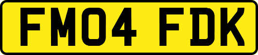 FM04FDK