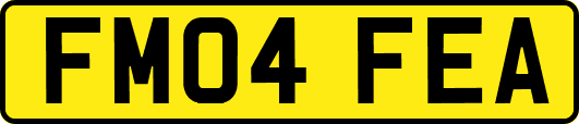 FM04FEA
