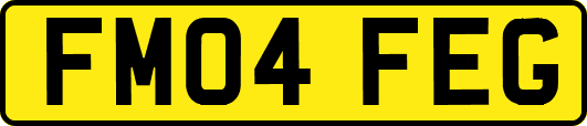 FM04FEG