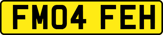 FM04FEH