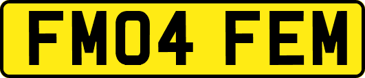 FM04FEM
